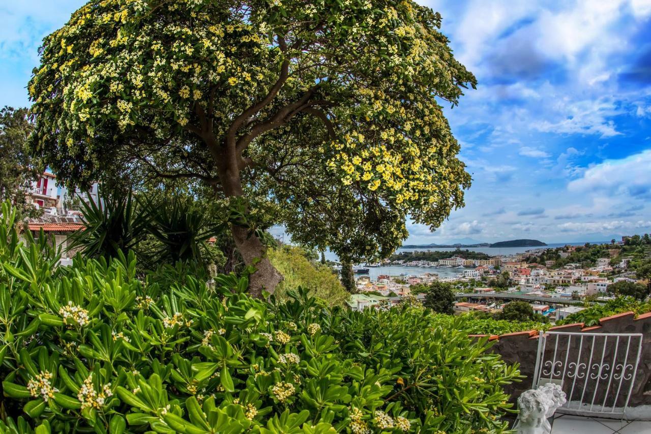 Appartamento Ischia Dream Visions Esterno foto